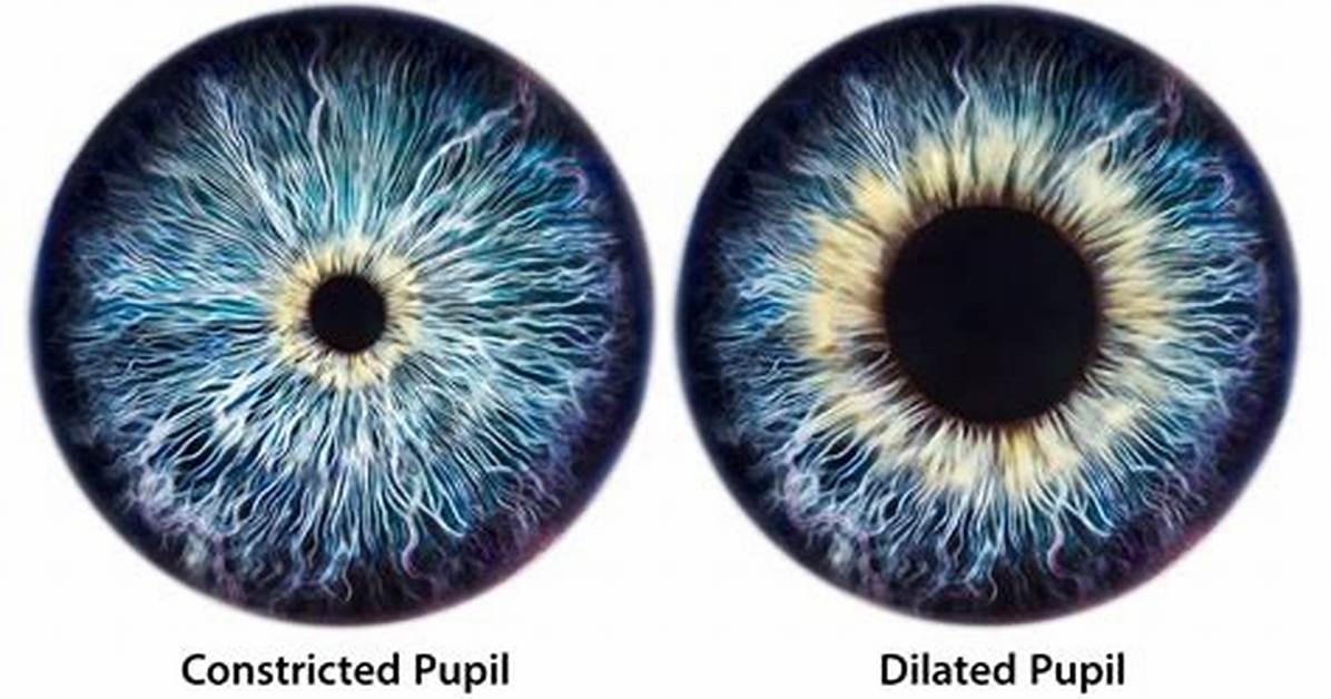 Why Do Hallucinogens Dilate Pupils?