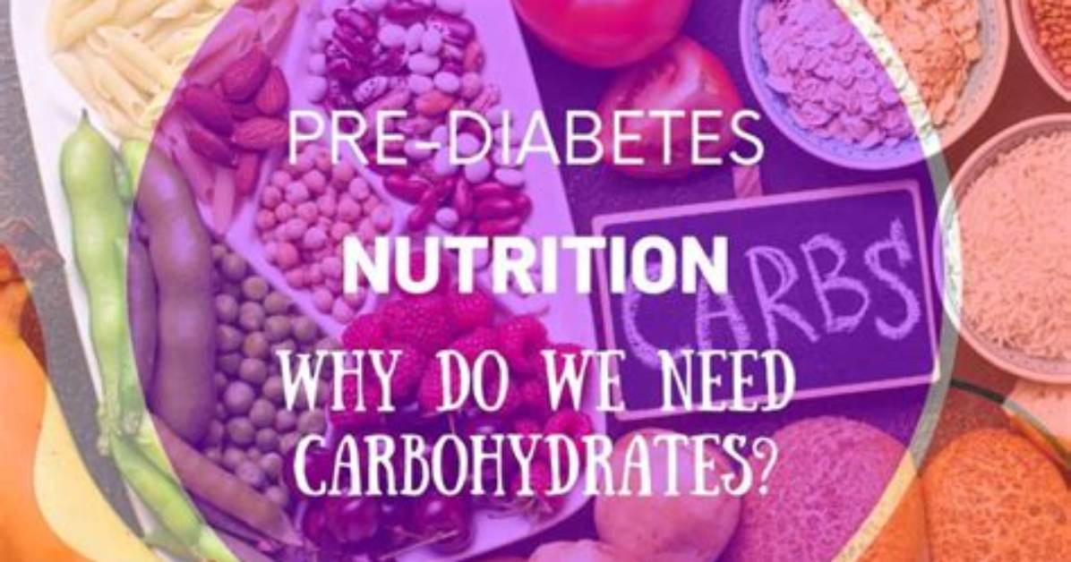 Why Do Horses Need Carbohydrates?