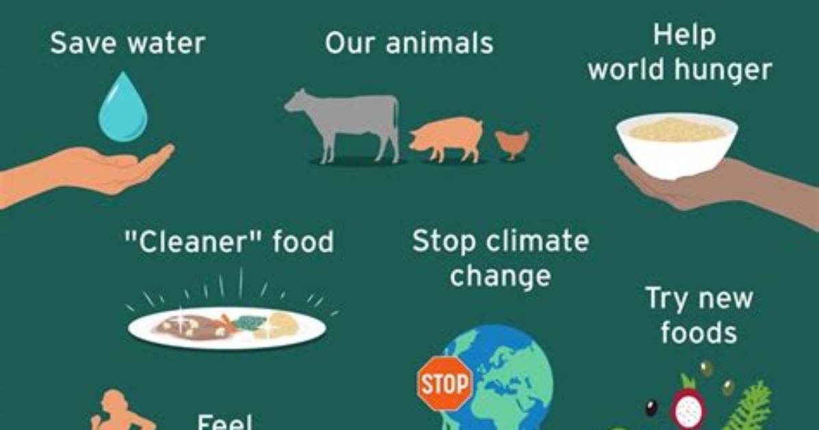 Why Do I Eat Less and Less?