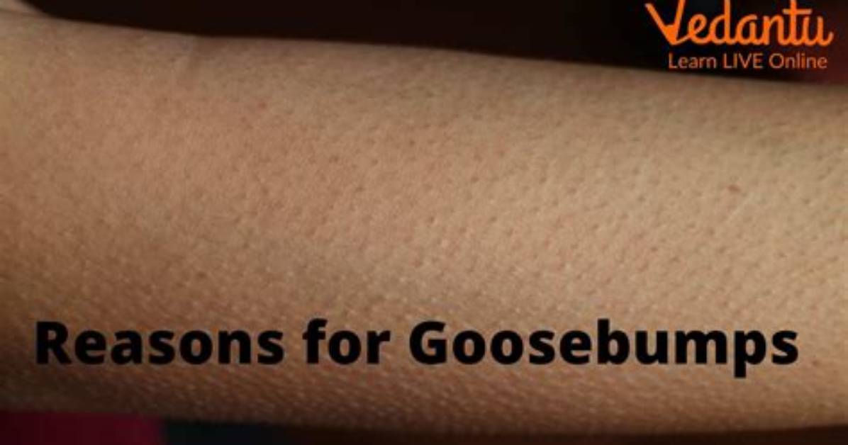 Why Do I Get Goosebumps When My Boyfriend Touches Me
