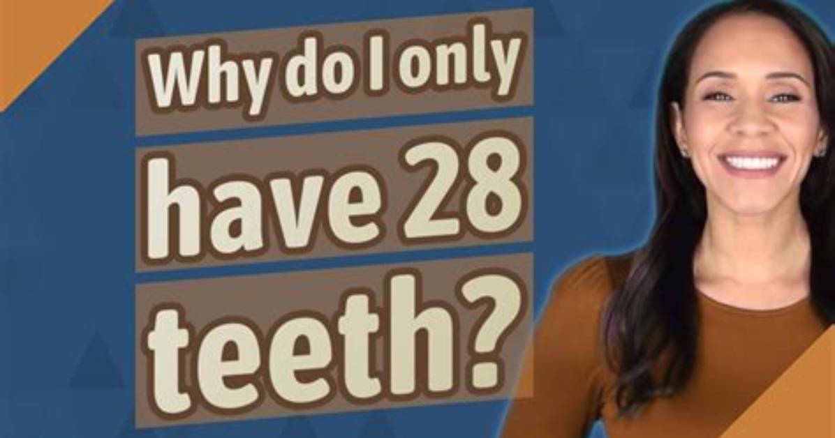Why Do I Have 28 Teeth?