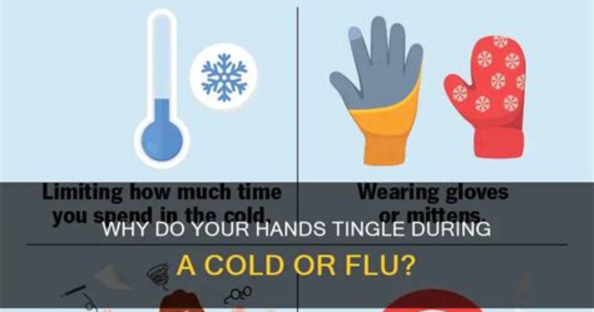 Why Do I Have Really Cold Hands?