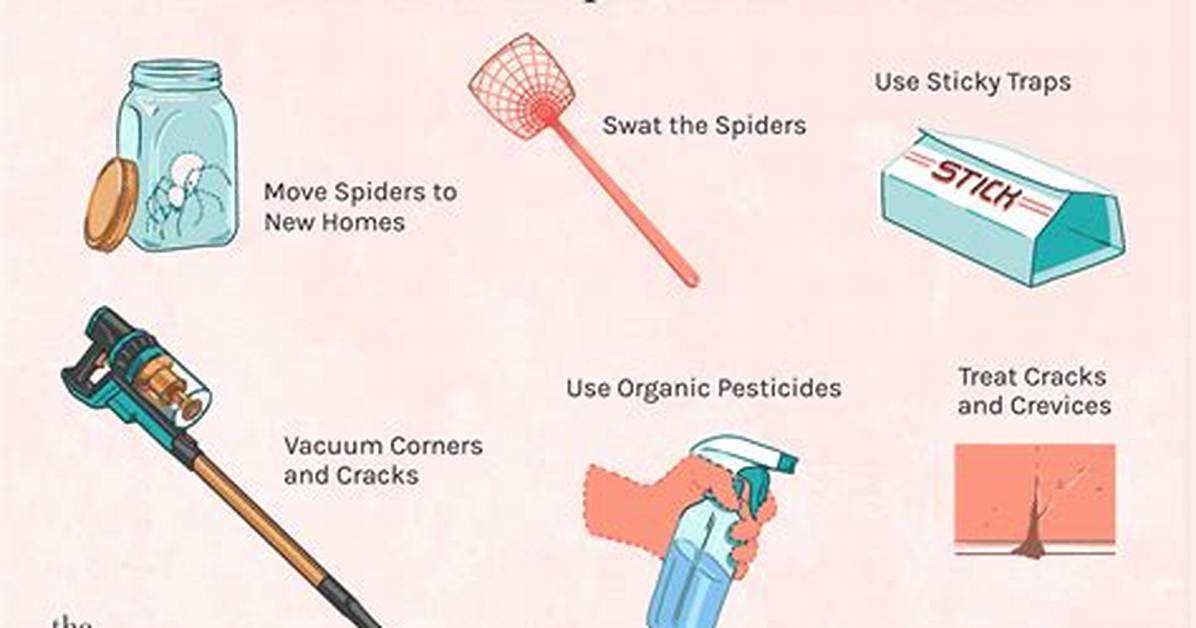 Why Do I Have Spiders Around My House
