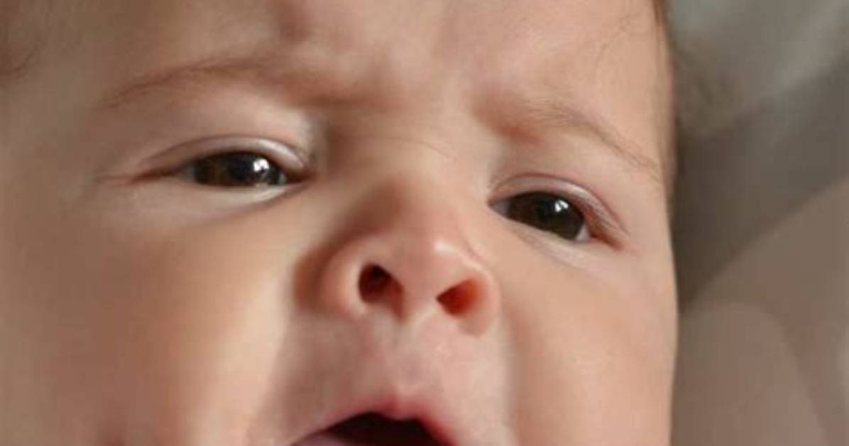 Why Do I Keep Smelling Rotten Milk?