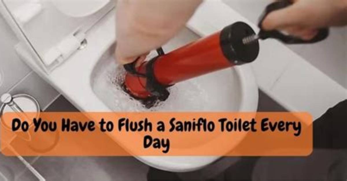 Why Do I Need Saniflo