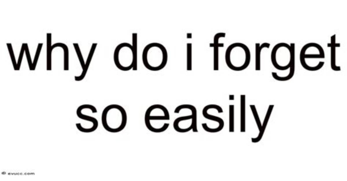 Why Do I Read and Forget Easily?