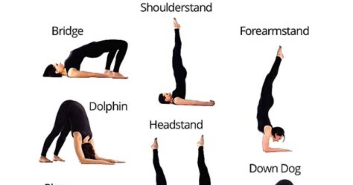 Why Do Inversions in Yoga?