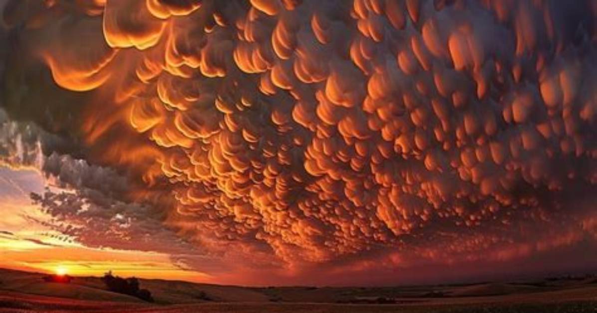 Why Do Mammatus Clouds Form?