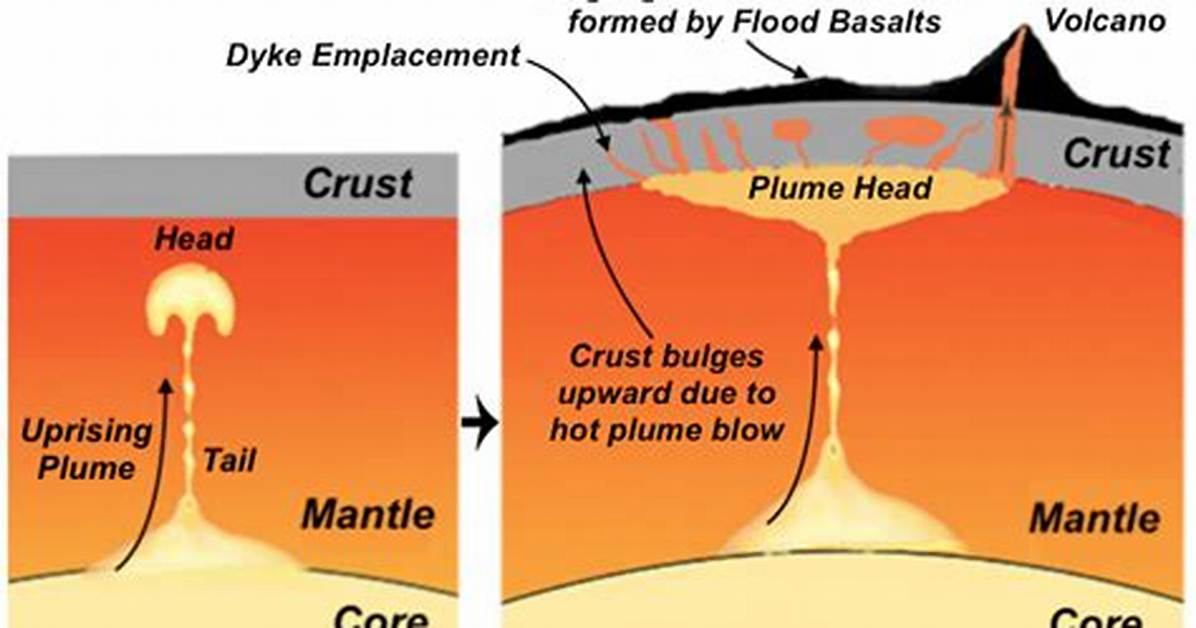 Why Do Mantle Plumes Rise?