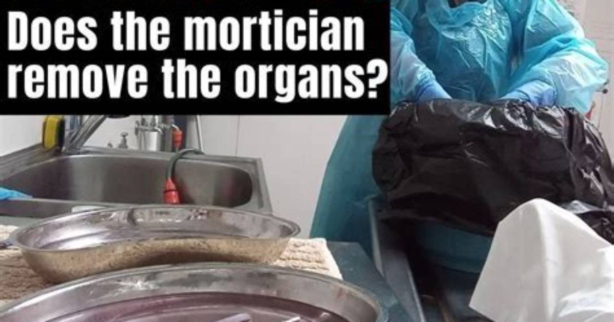 Why Do Morticians Remove Organs?