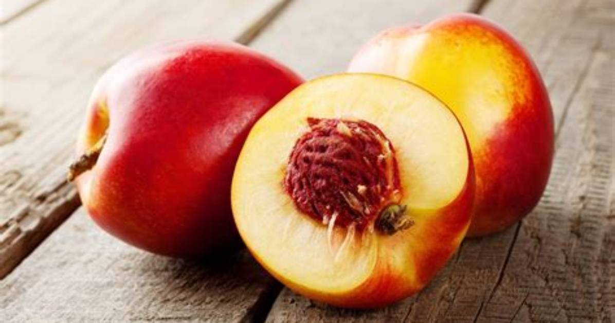 Why Do Nectarines Fall off the Tree?