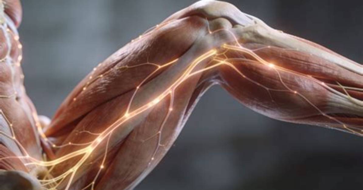 Why Do Nerves Get Weak?