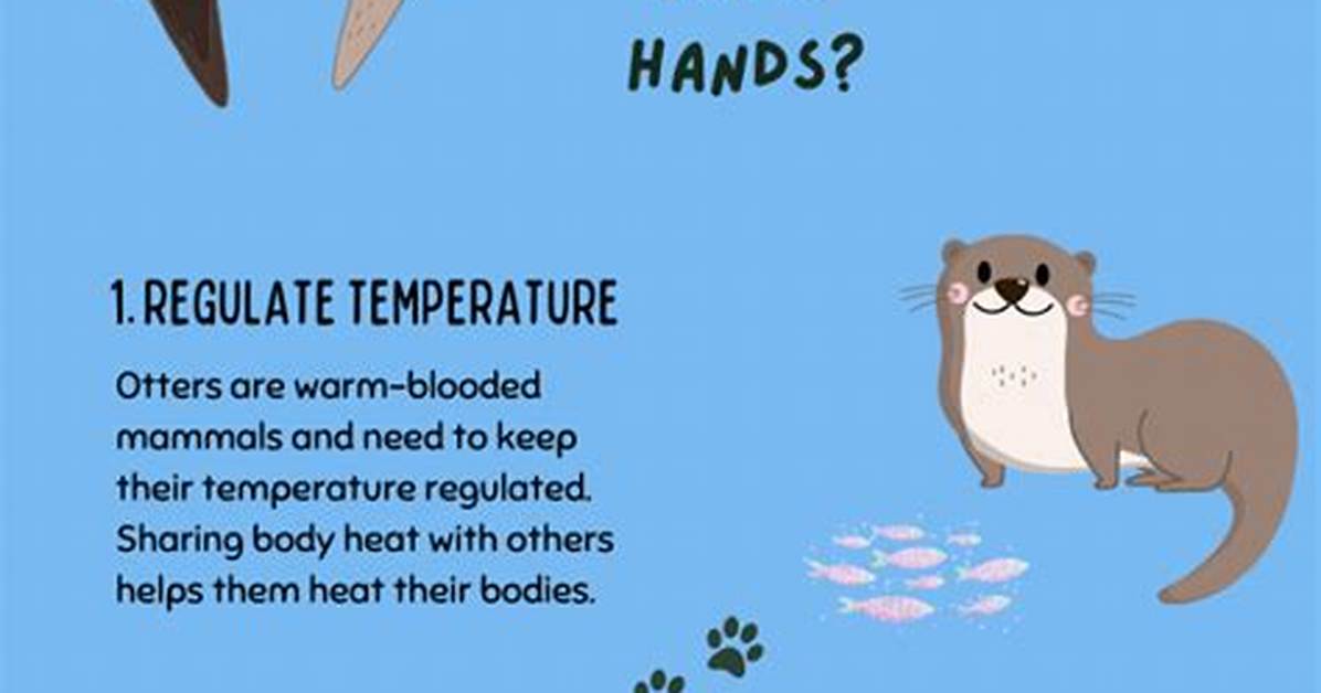 Why Do Otters Hold Hands?