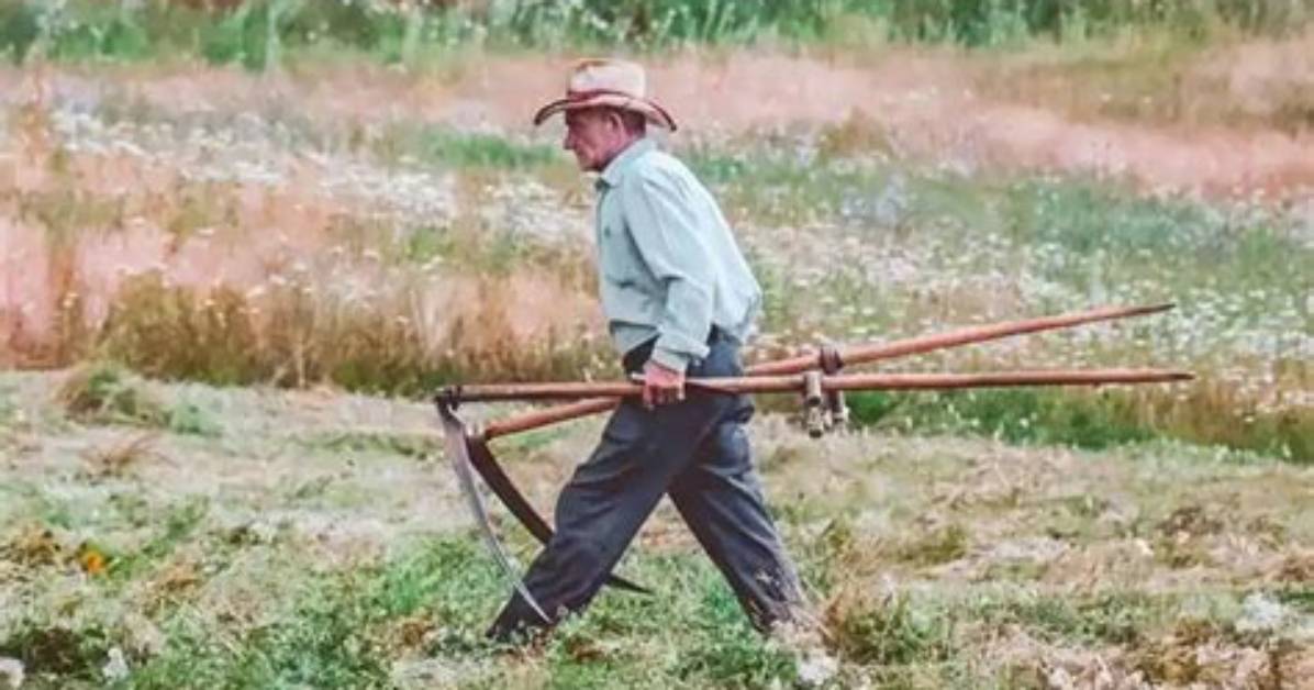 Why Do People Plow in Fall