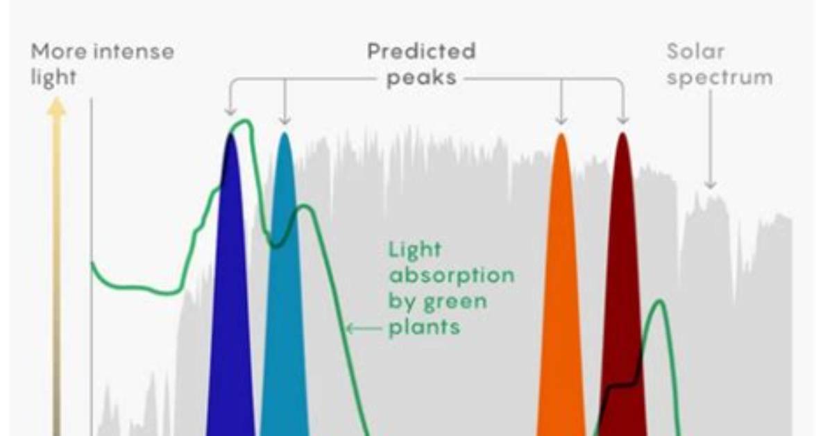 Why Do Pigments Absorb Light?