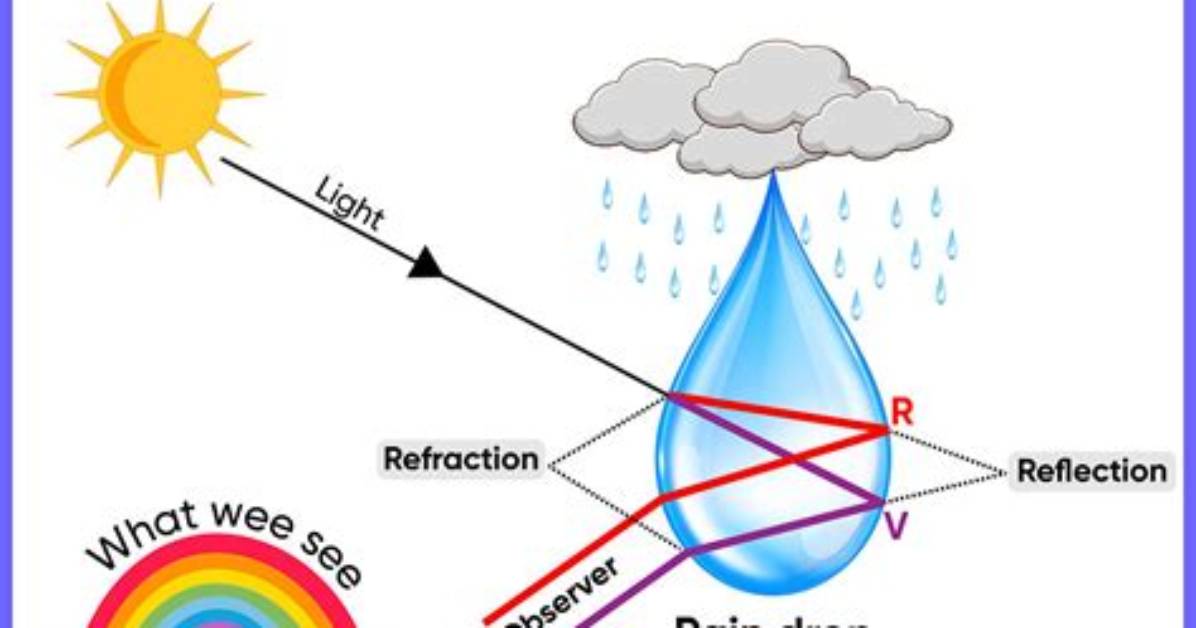 Why Do Rainbows Form After a Storm