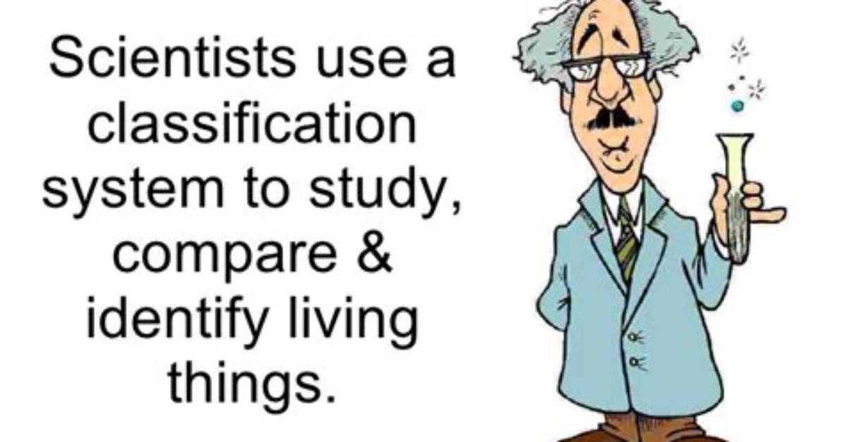 Why Do Scientist Classify Organisms