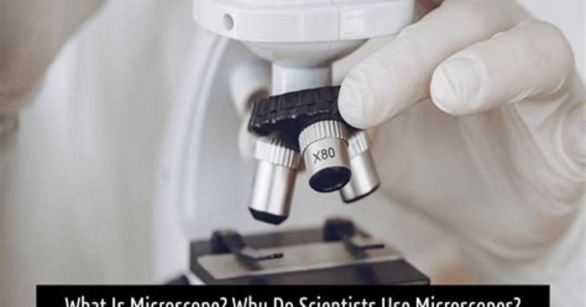 Why Do Scientists Use Microscopes?