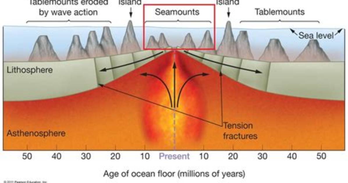 Why Do Seamounts Form?