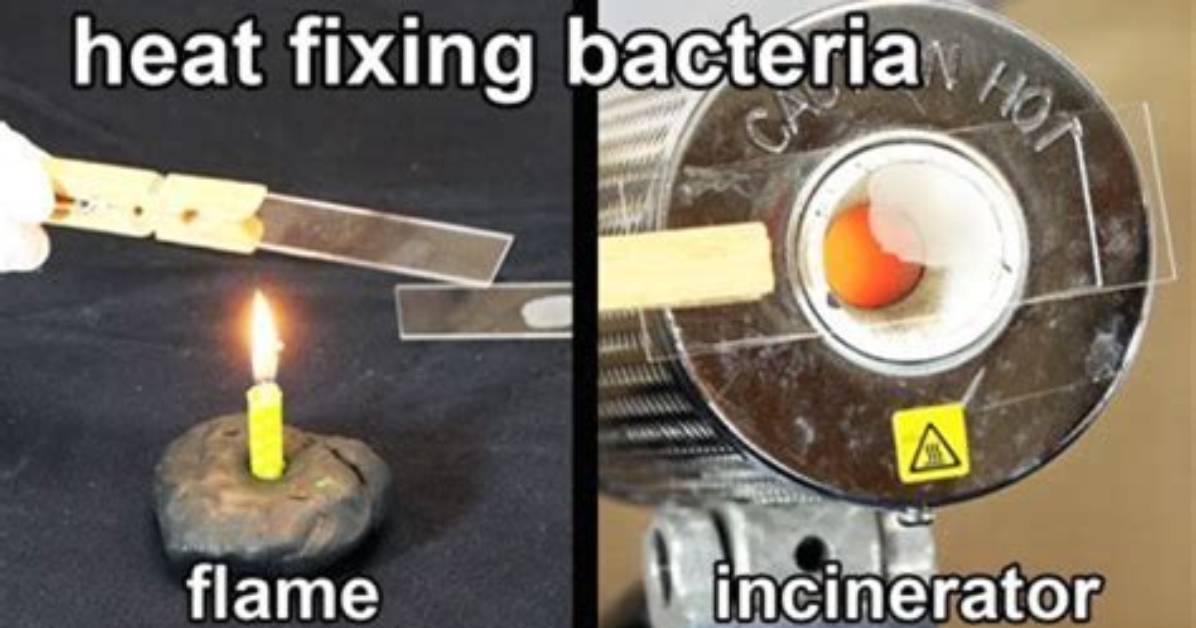 Why Do Smears Need to Be Air Dried?