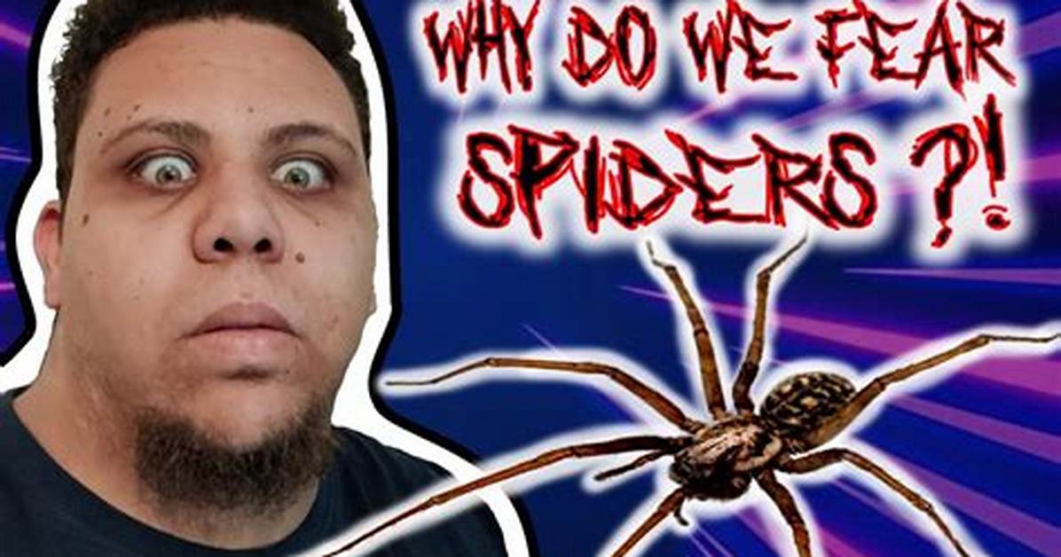 Why Do Spiders Scare Me So Much?