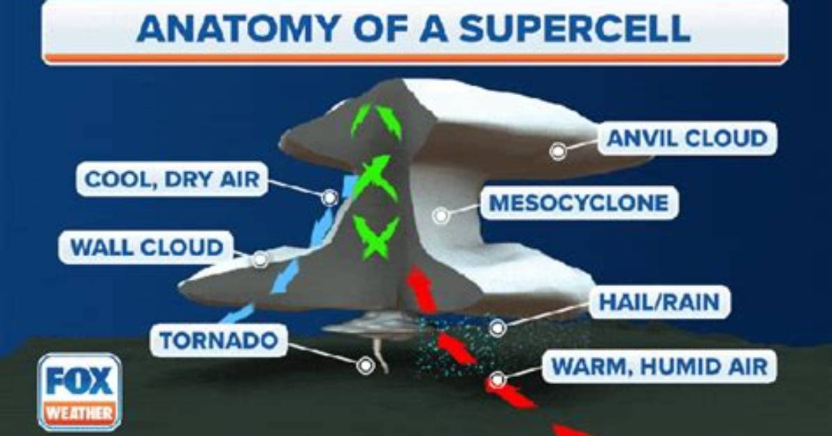 Why Do Supercells Last Longer