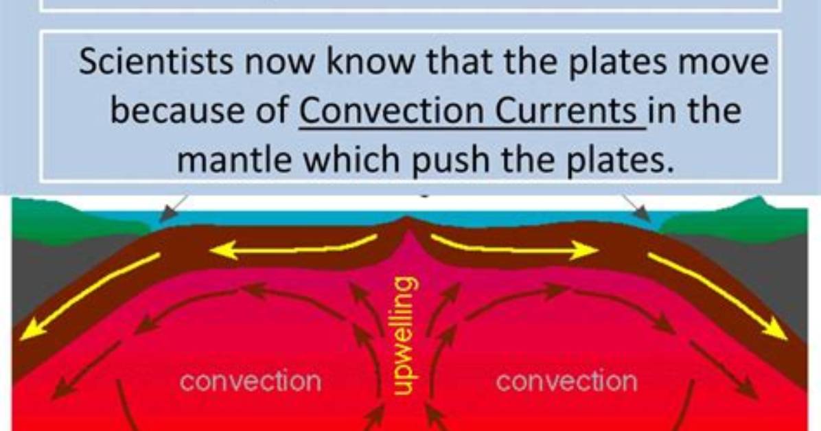 Why Do the Plates Move