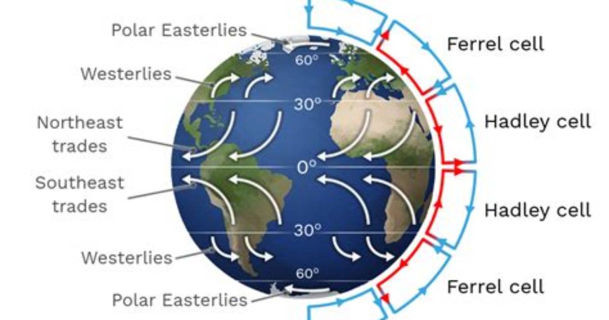 Why Do They Called Polar Easterlies?