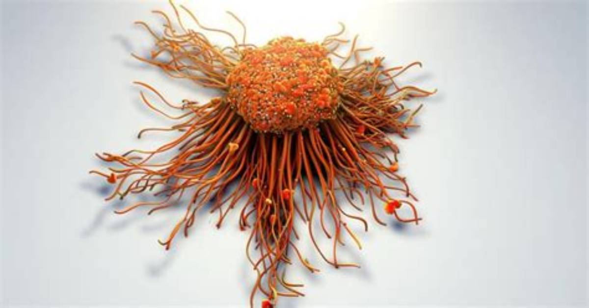 Why Do Tumours Fungating?