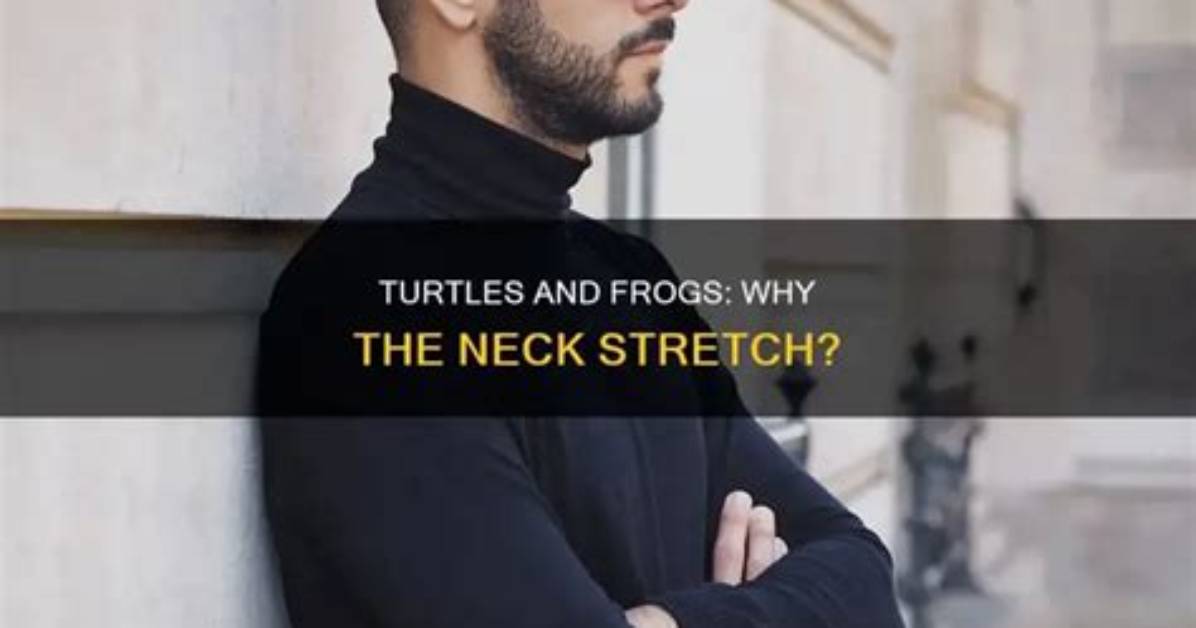 Why Do Turtles Extend Their Necks?