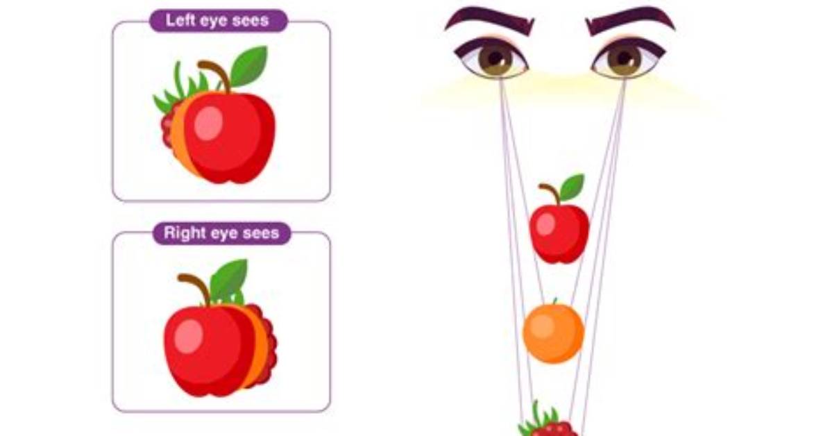 Why Do Two Eyes Give Better Vision Than One?