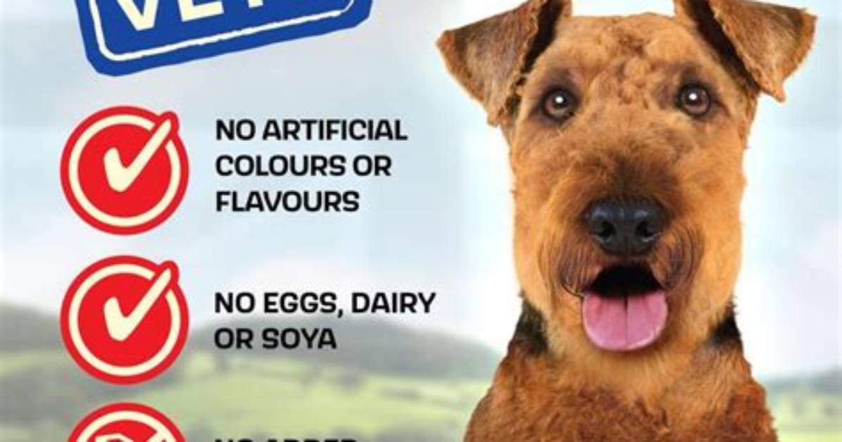 Why Do Vets Recommend Chappie?