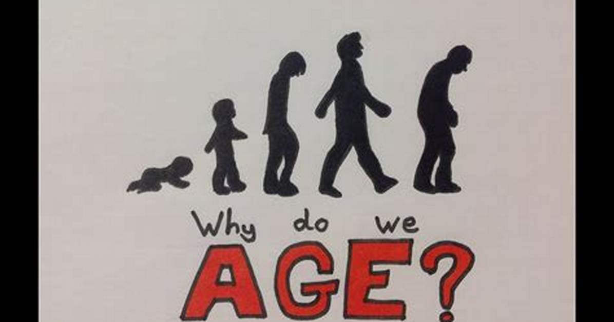 Why Do We Age Biologically?