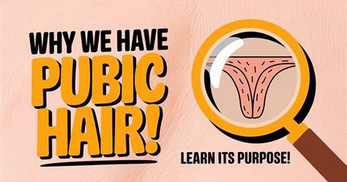 Why Do We Have Pubes?
