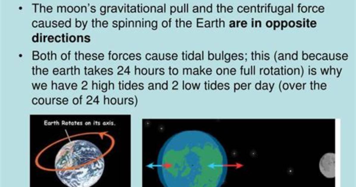 Why Do We Have Two High Tides per Day Quizlet?