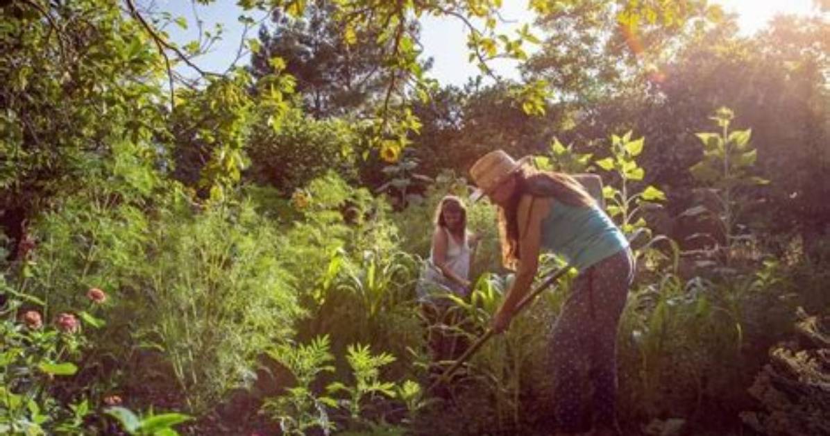 Why Do We Need Permaculture?