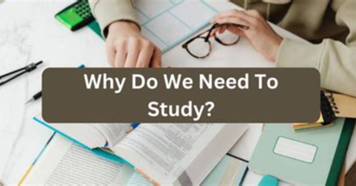 Why Do We Need to Study Public Administration?