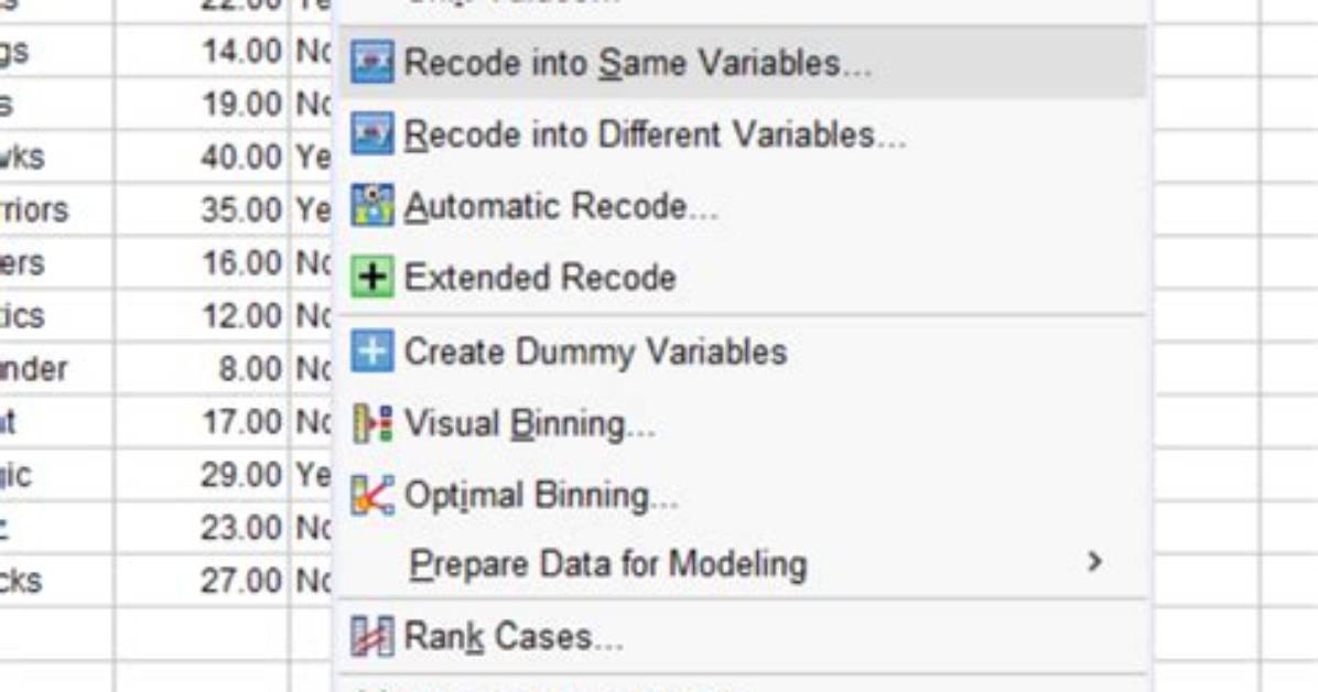 Why Do We Recode in Spss?