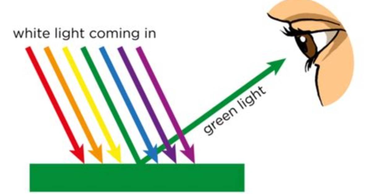 Why Do We See Light