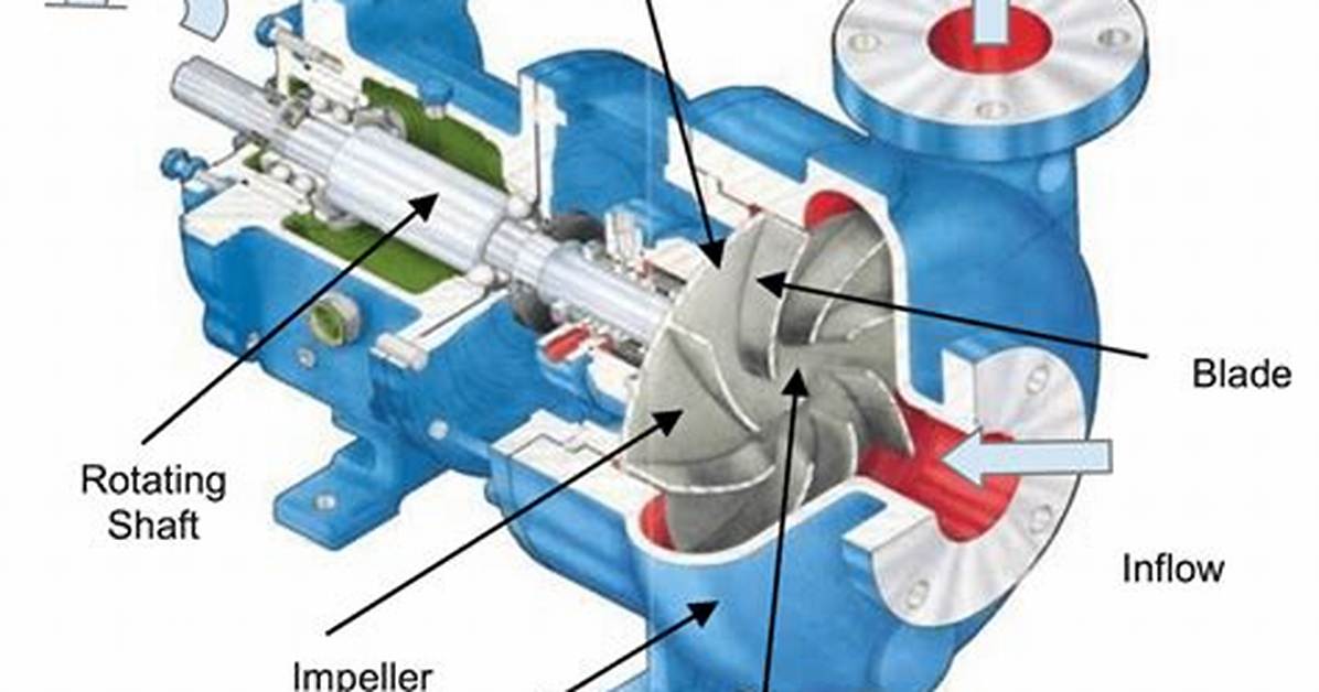Why Do We Use Centrifugal Pump?