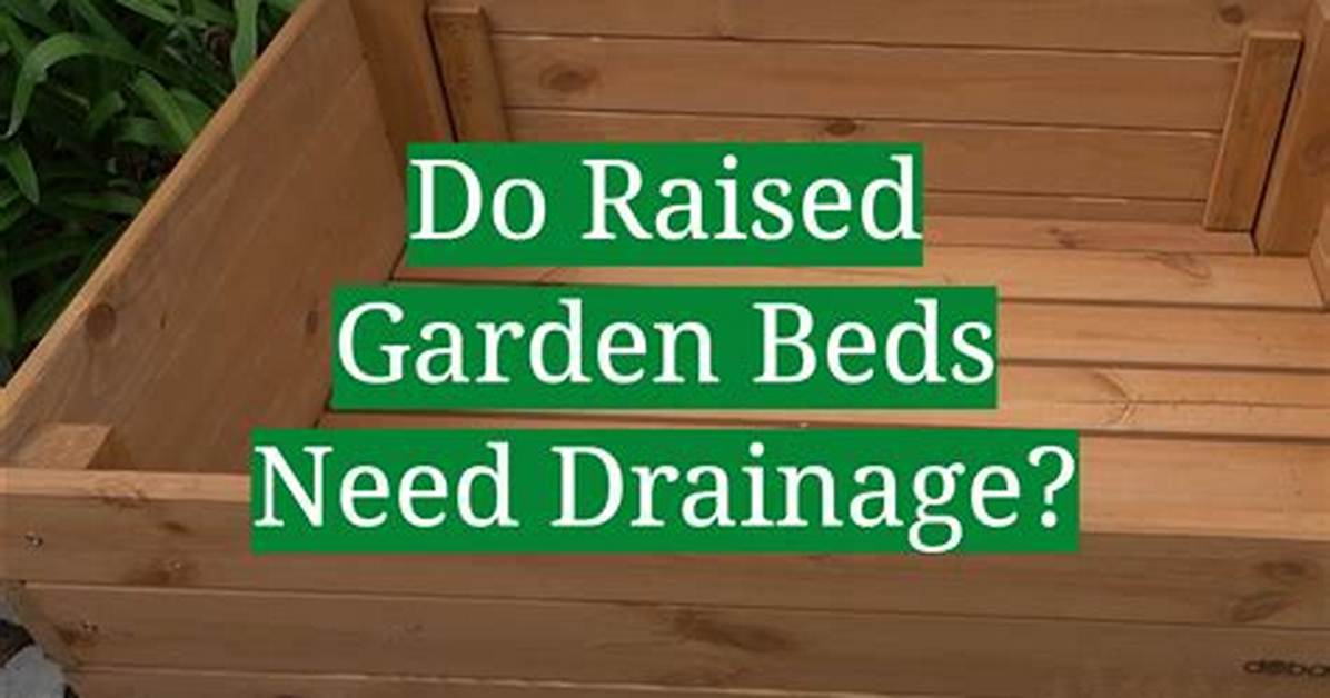 Why Do You Need Raised Beds?
