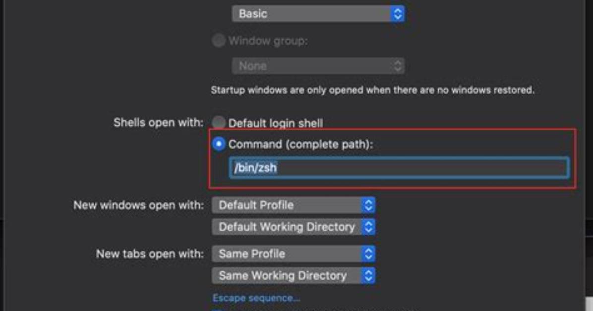 Why Do You Need to Source. Zshrc for Every New Shell in iTerm?