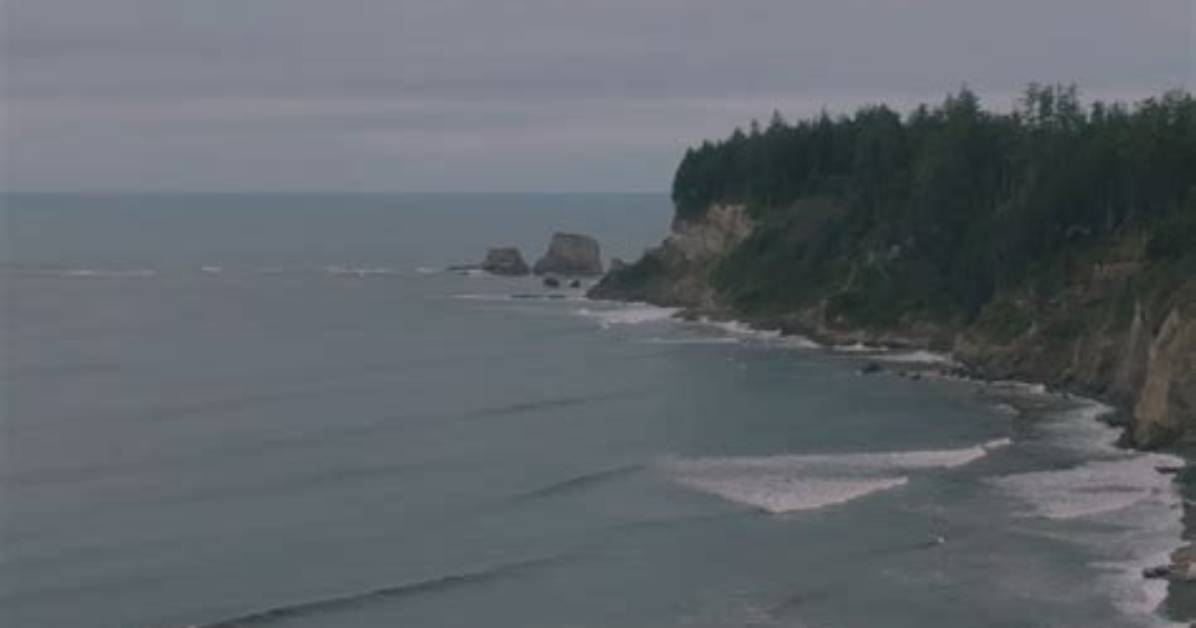 Why Does Alcide Die?