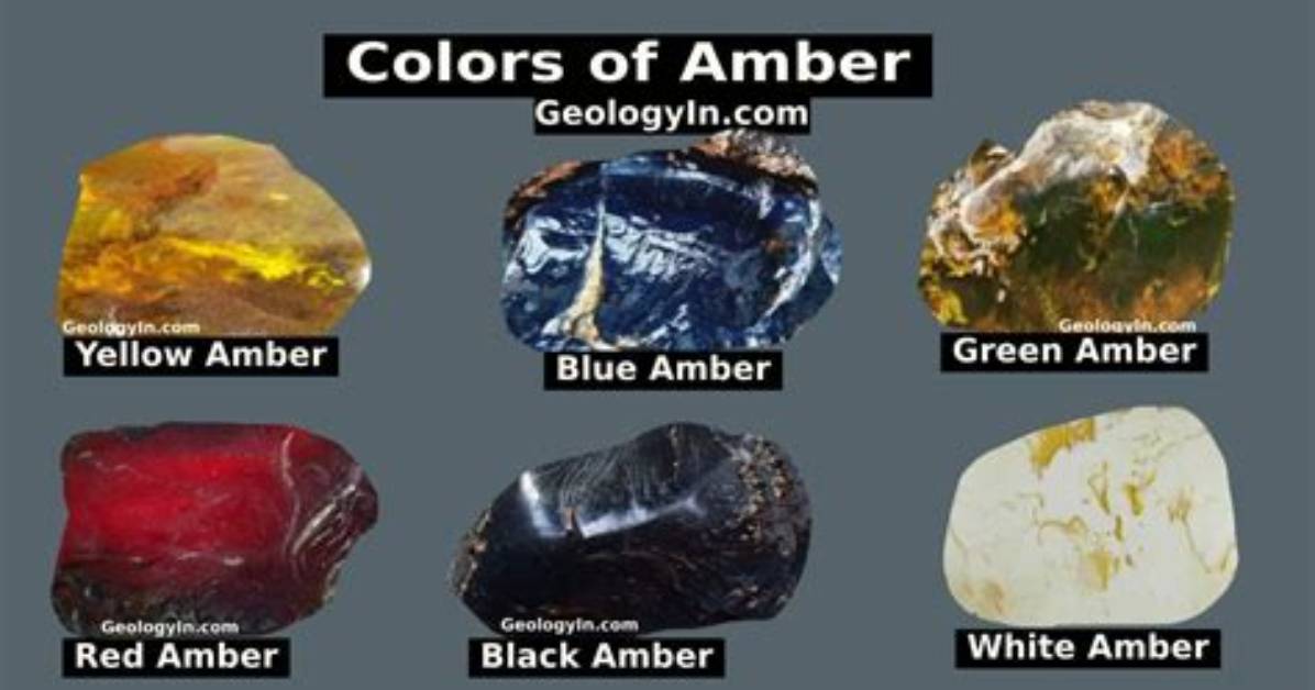 Why Does Amber Turn Black?