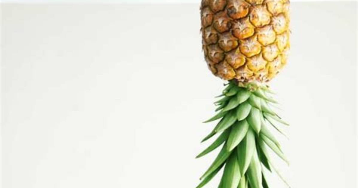 Why Does an Upside Down Pineapple Mean? – Celebrity