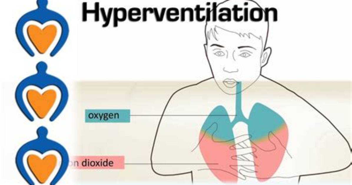 Why Does Apnea Occurs After Hyperventilation?