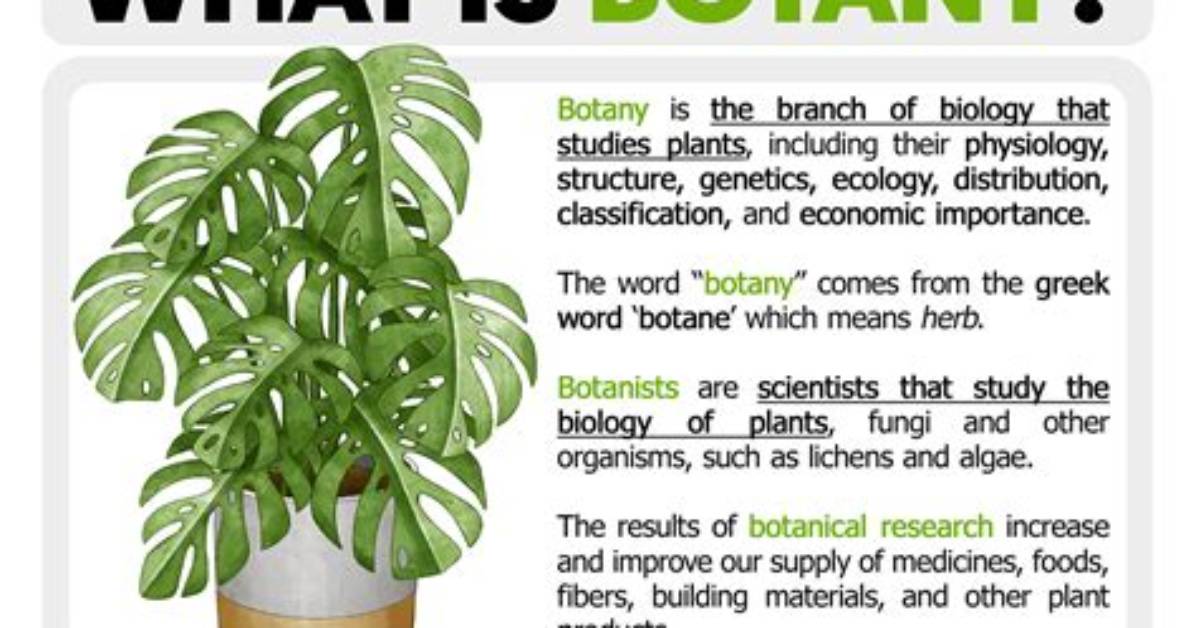 Why Does Botanical Mean?