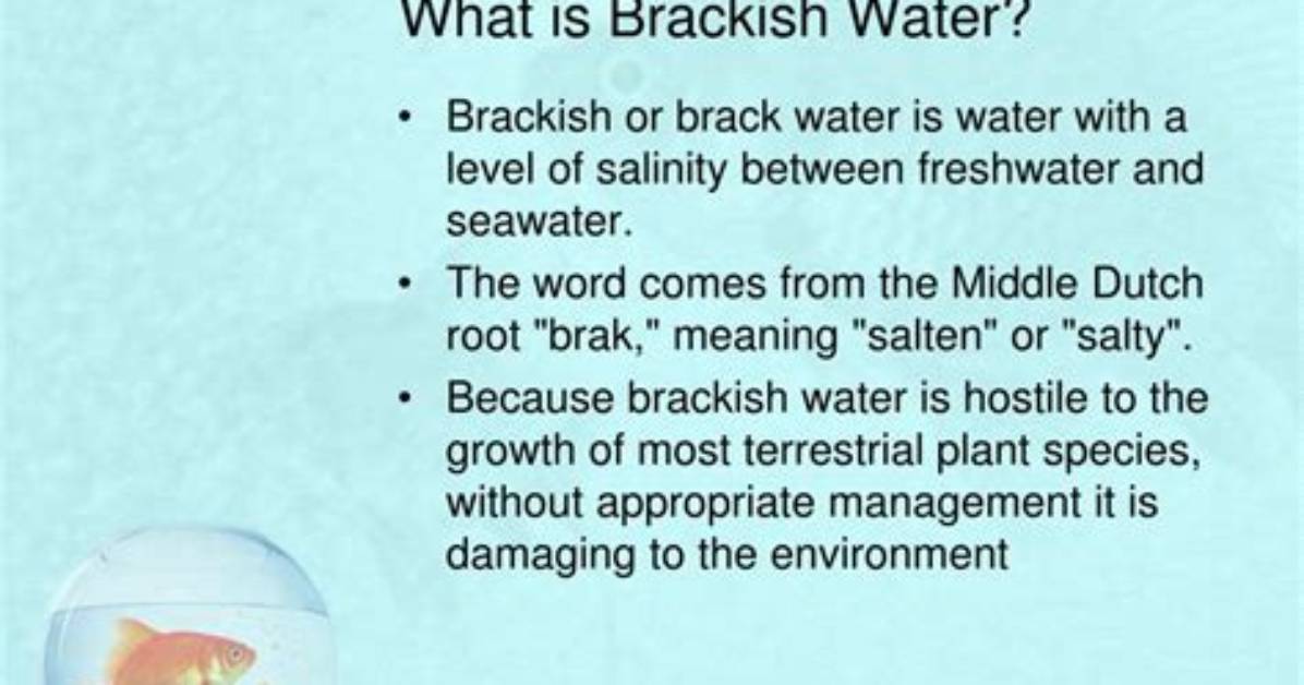 Why Does Brackish Mean?
