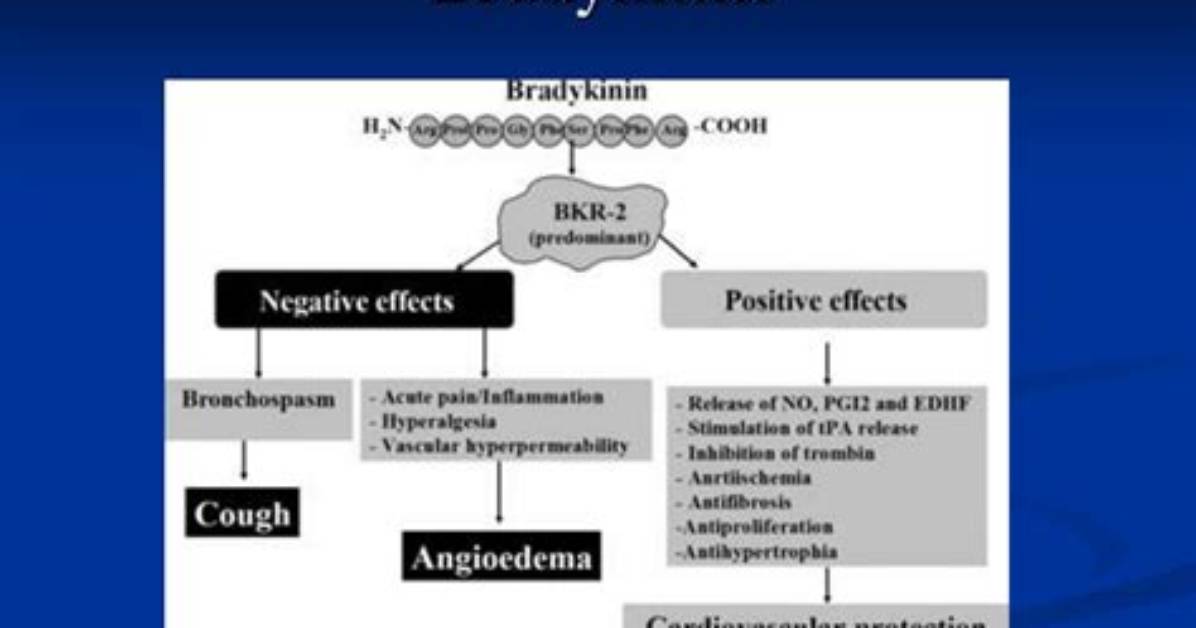 Why Does Bradykinin Cause Cough?