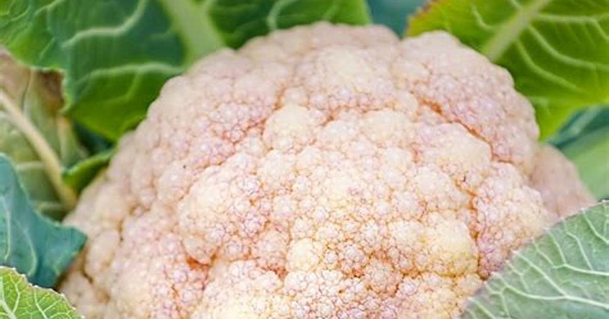 Why Does Cauliflower Turn Purple?
